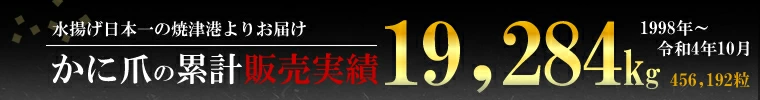 カニ爪販売実績