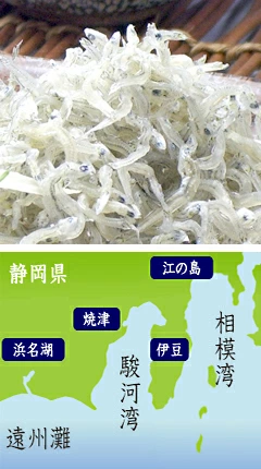 お歳暮 海鮮 冬ギフト 冬グルメ 贈答用 プレゼント 年末準備 年末年始配達予約可能