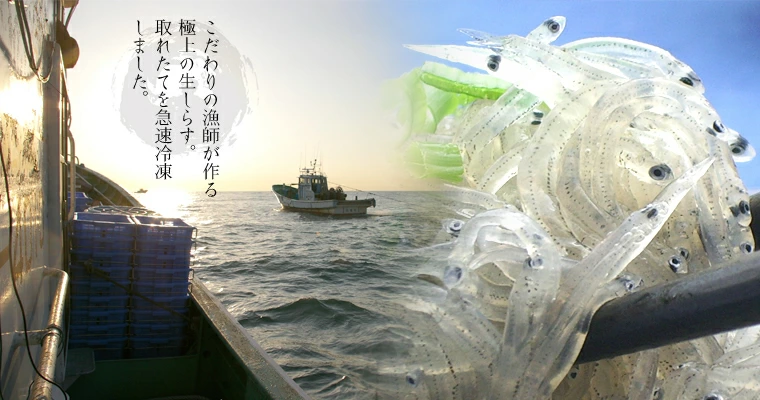 解凍方法 焼津直送 地元焼津の味ふるさとの味 静岡県駿河湾 海の幸 海鮮グルメ