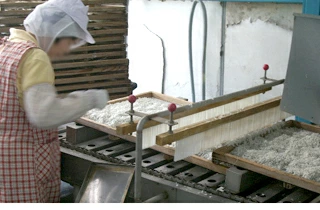 しらす干しシラス干ししらす静岡鮮度が違う！水揚げ当日に茹でたものを鮮度を保ち発送します！お取り寄せグルメ