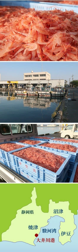 お歳暮 海鮮 冬ギフト 冬グルメ 贈答用 プレゼント 年末準備 年末年始配達予約可能