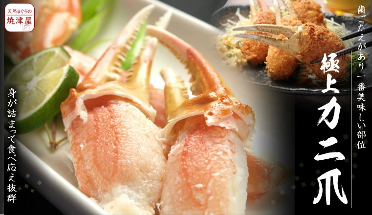 ズワイガニ爪 ずわい蟹爪肉 カニ爪 カニつめ 蟹ツメ 蟹爪 5L 特大サイズ かに爪 カニの爪 かにの爪 蟹の爪 焼津屋厳選 12〜16個 正規品 ご満足いただける蟹爪 ジューシーなズワイガニ爪 特大カニ爪 ボイルズワイカニ爪 1匹から2個しか取れない貴重品 プリプリの歯ごたえ 冷凍かにつめ 業務用