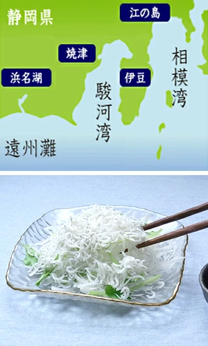 ギフト ひなまつり 海鮮 手巻寿司 ちらし寿司 感謝 お祝い 贈り物