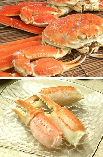 特大カニ爪 急速冷凍 ほのかな塩気 自然解凍で簡単に食べれる 解凍方法のレシピ付き 業務用 かに爪 たっぷり 大容量 旨味成分がいっぱい 冷凍 ボイル 解凍 ズワイ 殻むき簡単 身入り抜群 天然まぐろの焼津屋 焼津