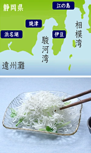 しらす　遠州灘