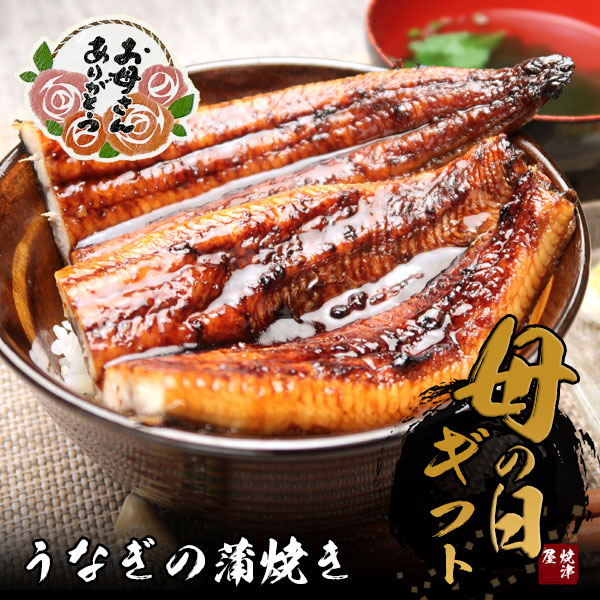 【送料無料】母の日ギフトうなぎ3串セット