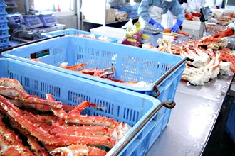 ボイルタラバ　工場 タラバ極太ボイル済みだから解凍するだけで食べられる解凍方法のしおり付き簡単調理