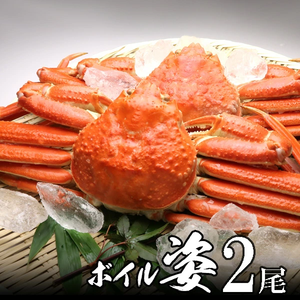 極上ズワイガニ姿（ボイル）600g×2尾