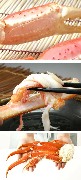 海上で茹でて急速冷凍焼津直送鮮度抜群新鮮なズワイガニ獲れたての味難しい調理不調ボイル済み同梱可能コンペ景品記念品社内イベント解凍方法のしおり付き