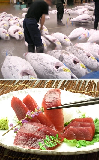 食欲の秋 グルメ 季節のギフト お歳暮 帰省暮 おつまみ お取り寄せ 酒の肴 プレゼント