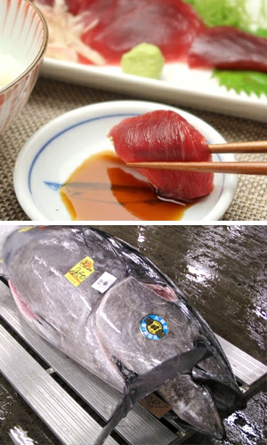 マグロの王様 本鮪4人前 口の中に広がる贅沢な味わい 食通を唸らせる逸品