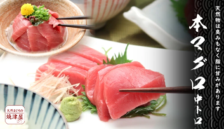 天然本まぐろ 中トロ 刺身 お刺身盛り合わせ 鮮やかな朱色の鮪 味も最高レベルの本マグロ 天然本マグロ 高級品 中トロ スーパーではなかなか出会えません 焼津からお取り寄せ グルメ オンラインショッピング 通信販売 通販 ネットショッピング ネット販売 お取り寄せグルメ お取り寄せおつまみ