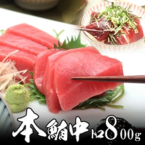 本まぐろ中とろ8人前 800g
