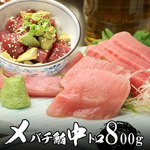 メバチマグロ中トロ8人前(800g)