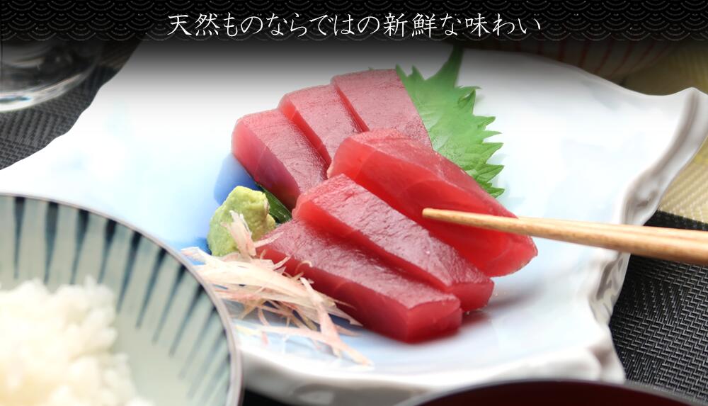 メバチマグロ バチマグロ赤身 刺身 国産天然めばち鮪 厳選セレクト バチマグロ赤身 メバチマグロ刺身 メバチマグロ赤身 スーパーでは出会えないマグロ お箸が止まらない美味しさ