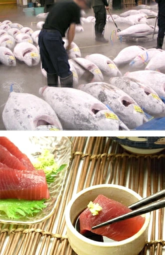 まぐろ　焼津 天然ミナミマグロ 一級品 食通を唸らせる南まぐろ 高級すし店でも取り扱う赤身