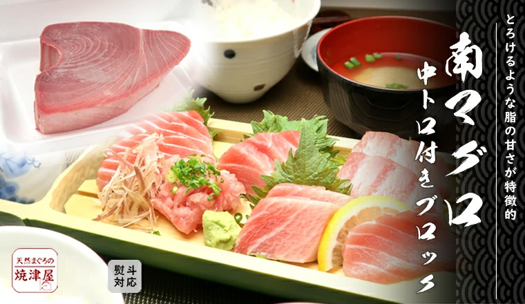 南まぐろ 南マグロ刺身中トロ 甘みの強さは本鮪よりミナミマグロの方が上 マグロの中で一番甘いのは南鮪 ミナミマグロ ブロック 天然物ミナミマグロ中とろ焼津直送南まぐろは南の王様一級品のマグロ後悔しないまぐろの選択