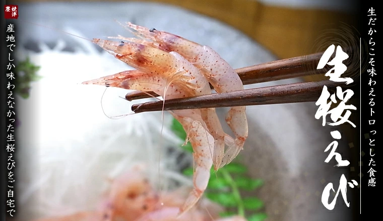 生桜えび 生桜えび 由比港と大井川港だけで水揚げ 駿河湾だけで獲れる桜えびは大変貴重 各種お祝い お返し さくらえび 桜エビ風味が抜群甘みも強く美味しさが格段に違う！駿河湾にだけ生息してる希少価値のある海老