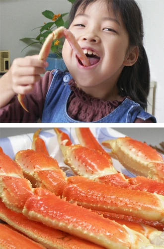 ロシアオホーツクマガダン海域産ずわいがにプロ厳選身離れバッチリボイル済み大型サイズの蟹最高漁場で獲れるギフト贈り物贈答品無料メッセージカード無料のし作成ギフト対応解凍方法のレシピ付き 送料無料おもてなし料理贅沢なズワイガニ家族団らん喜ばれる逸品各種お祝い様々な料理に