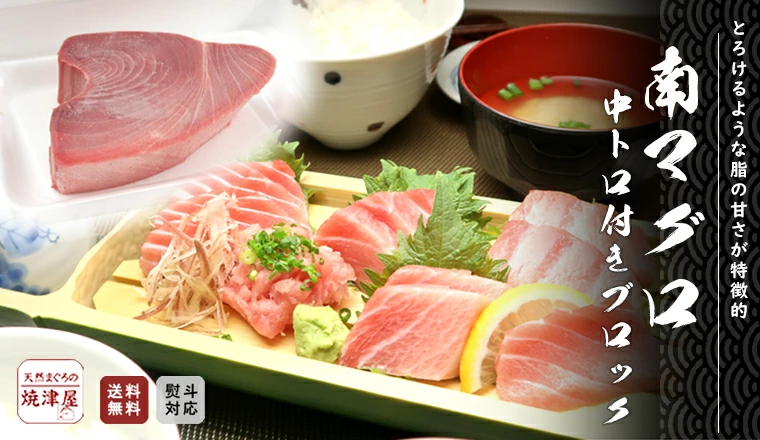 南まぐろ 南マグロ刺身中トロ 甘みの強さは本鮪よりミナミマグロの方が上 マグロの中で一番甘いのは南鮪 ミナミマグロ ブロック 天然物ミナミマグロ中とろ焼津直送南まぐろは南の王様一級品のマグロ後悔しないまぐろの選択