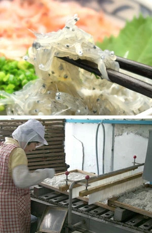 焼津 焼津さかなセンター