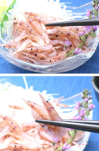 生桜海老（桜えび）140g地元静岡駿河湾産かき揚げ海鮮丼に同梱可能のし作成ギフト贈り物贈答品手土産記念品お祝いコンペ景品グルメお取り寄せ
