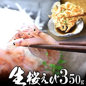 生桜海老(桜えび)350g 地元 静岡 駿河湾産 かき揚げ 海鮮丼に