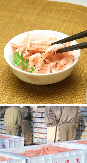 卵焼き 駿河湾からの恵み 世界的にも希少価値の高い海老桜えび