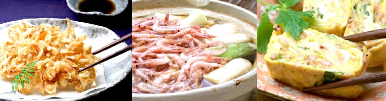 駿河湾産高級生桜海老（桜エビ）200g【ギフト】ギフト対応可能無料のし作成用途に合ったギフト包装