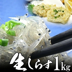 生しらす　1kg 無添加 無漂白