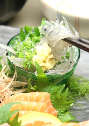 生しらすの食べ方 獲れたてのしらすを急速冷凍 解凍方法のしおり付きで安心！ 常温での自然解凍は厳禁！ イワシの子供しらすは劣化がとても早いので自宅で解凍する際には冷蔵庫に入れて自然解凍もしくは氷水での解凍をお願いします。
