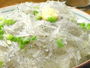 刺身用 生しらす 豪華海鮮丼 鮮度が命の生しらす 全速力で港に帰港し急速冷凍! 自社工場でパック詰め! セリに出しては鮮度が落ちるのでそのまま冷凍します! そのぐらい鮮度に自信があるからこそ透き通ったきれいな生しらすのご提供ができるのです!!