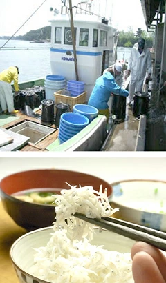 初夏 夏ギフト 贈り物 お中元 海鮮グルメ お取り寄せ ご褒美 酒の肴 おつまみ