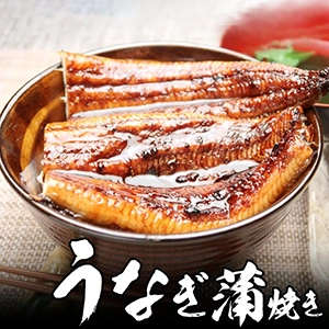 静岡産 うなぎ 蒲焼き 140g 2尾