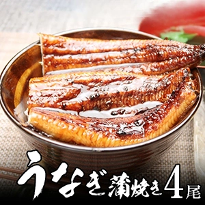静岡産 うなぎ 蒲焼き 140g 4尾