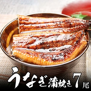 静岡 焼津 産 うなぎ蒲焼き約140g　7尾（長焼き、真空パック）