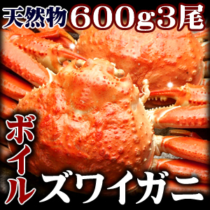 【送料無料】北海道沖縄へは700円加算