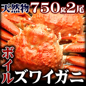 ズワイガニ姿 750g  2尾